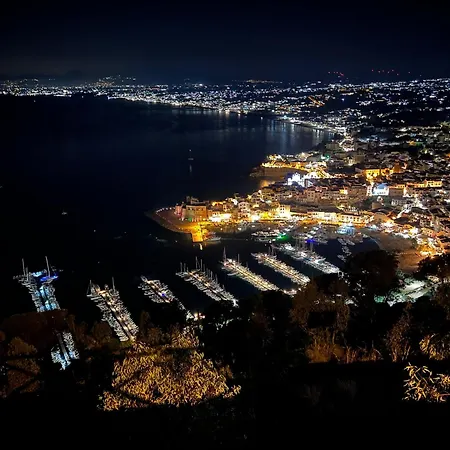Marina Luxury *